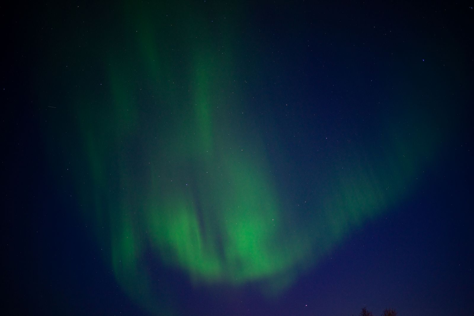Green Aurora Borealis — Device Compatibility Checker remembers, so repeat travelers barely type.