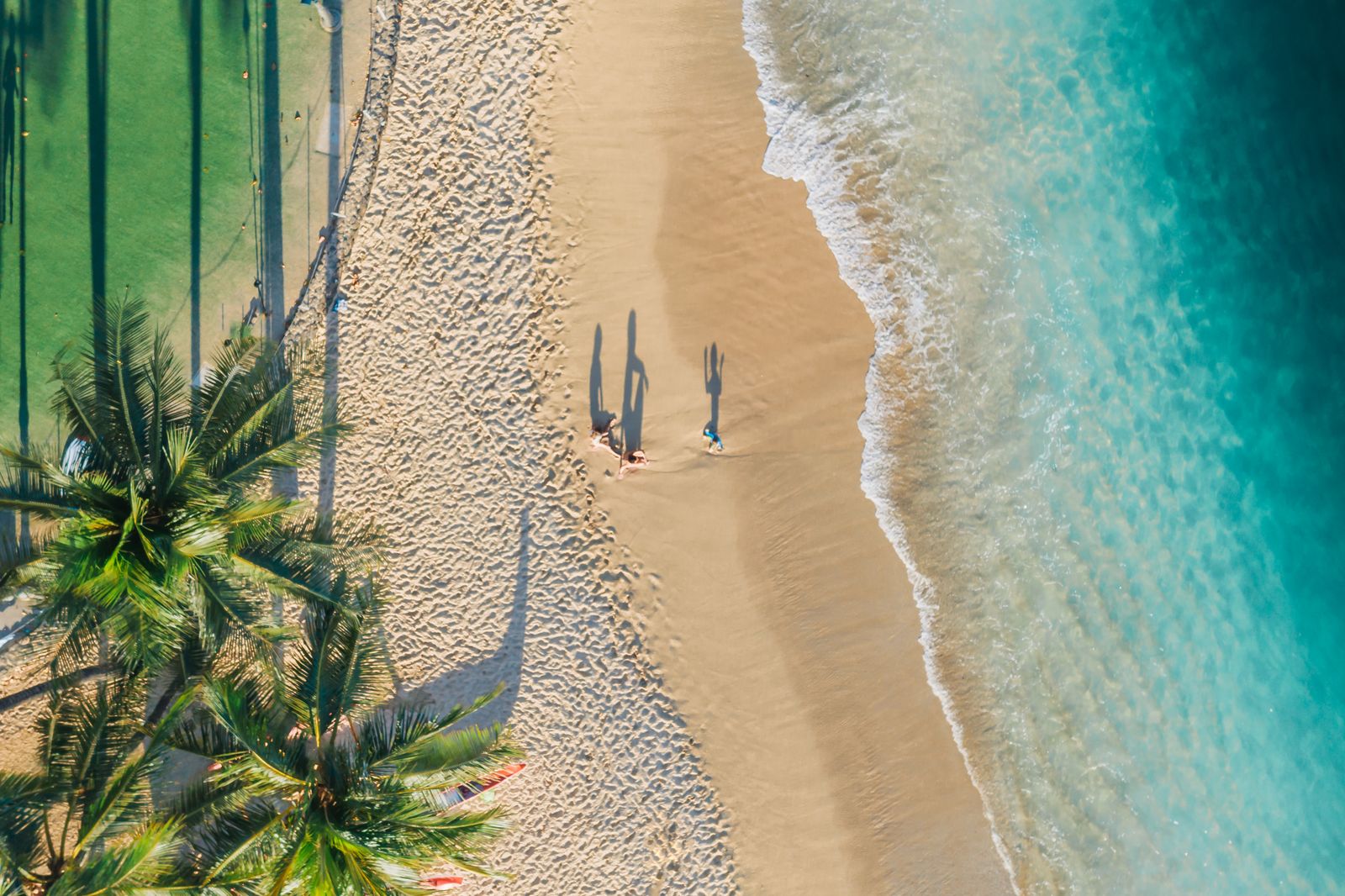 Palm Trees Near Beach — Support: Vraies transcriptions, réponses précises — une assistance que vous pouvez prévisualiser.