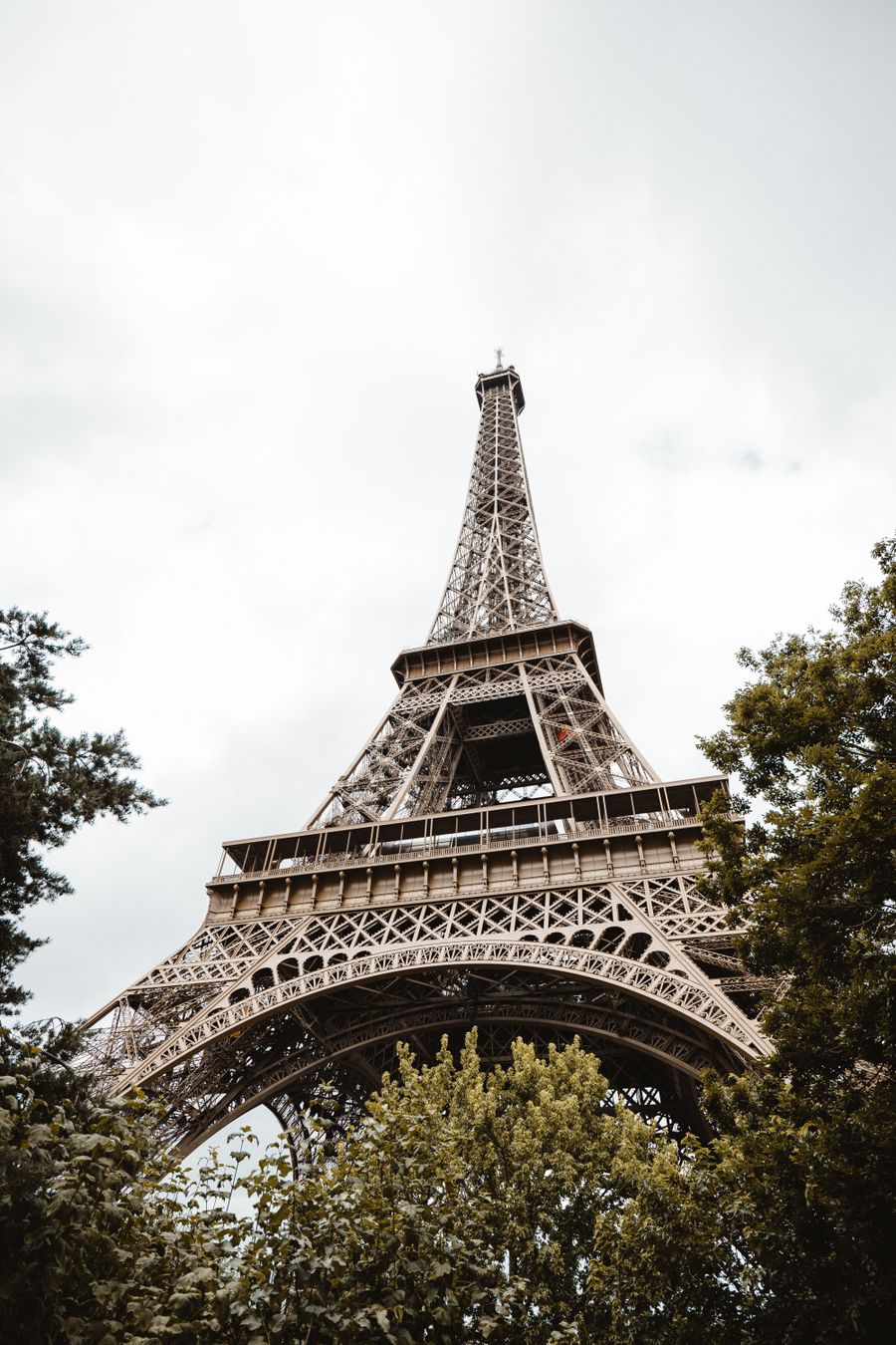 eiffel tower in paris framed by lush greenery