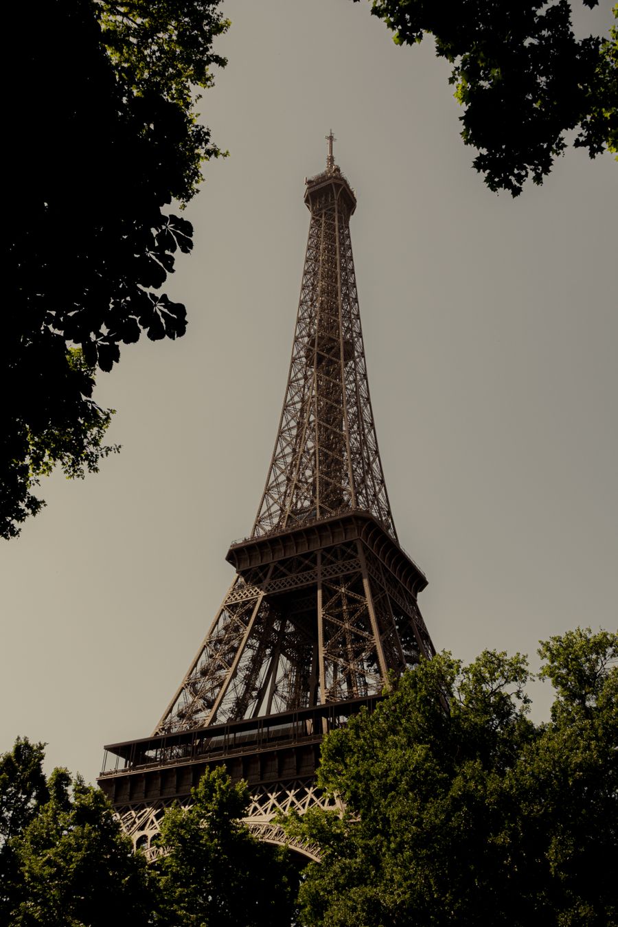 iconic eiffel tower in summer foliage — Support: Les randos à l'aube commencent par la météo — données activées, chaussures aux pieds.