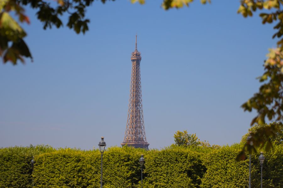 eiffel tower view through lush greenery in paris